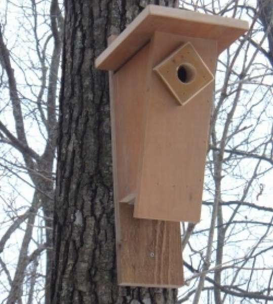 идея за къщичка за птици