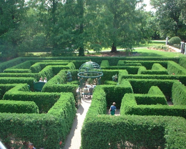 Sövény-labirintus