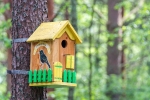 направете си проста къща за птици