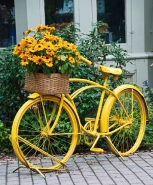 cykel i landskabet