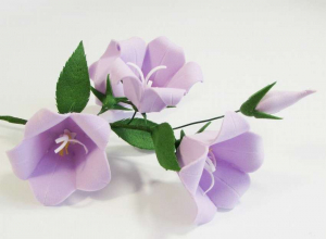 készítsen virágot a papír harangokból